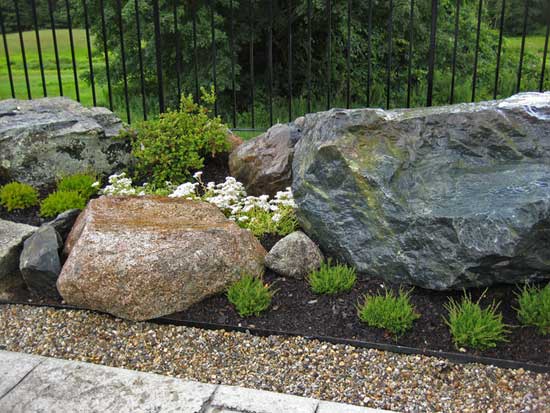 Аллея камней с альпийскими растениями