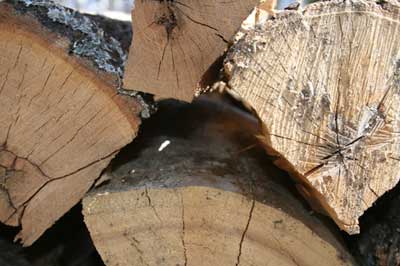 сухие дрова дают трещины