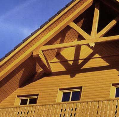 Защита деревянных конструкций химическим способом