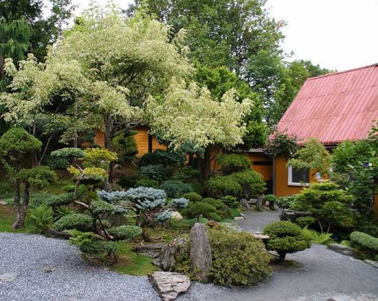 Адаптированный японский сад