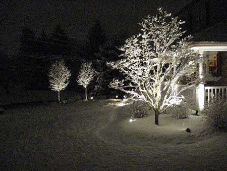 Подсветка зимнего сада